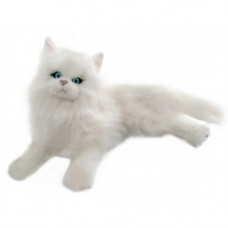 White Persian Plush Cat Lying